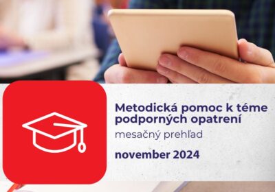 mesačný prehľad_PIV a OP k PO_november 2024_web