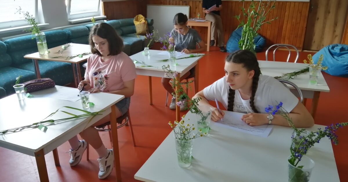 Na obrázku tri mladé dievčatá, ktoré súťažia na Biologickej olympiáde a pred sebou majú rôzne druhy rastlín, ktoré musia správne na papier popísať. V pozadí sedí dozorujúci učiteľ.