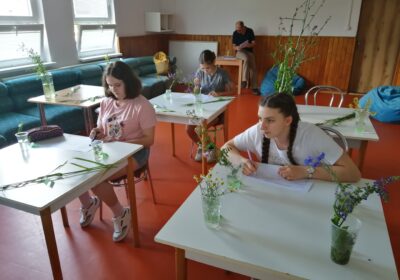 Na obrázku tri mladé dievčatá, ktoré súťažia na Biologickej olympiáde a pred sebou majú rôzne druhy rastlín, ktoré musia správne na papier popísať. V pozadí sedí dozorujúci učiteľ.